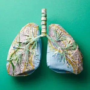 Paper shaped into the form of lungs